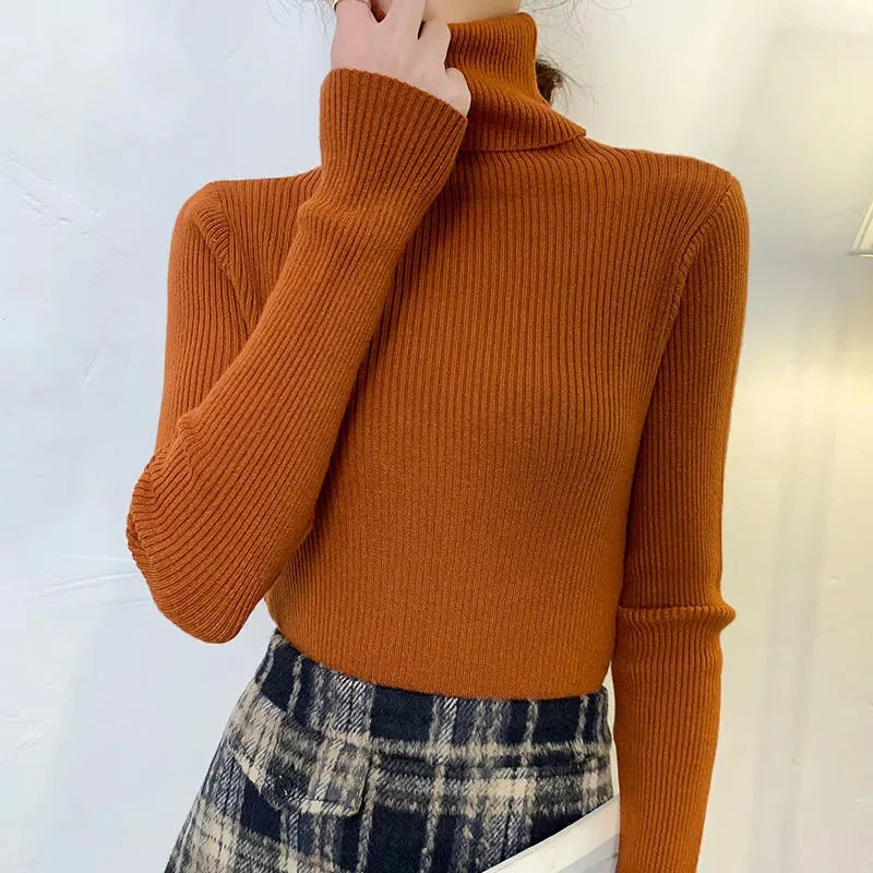 Suéter Gola Alta Feminino