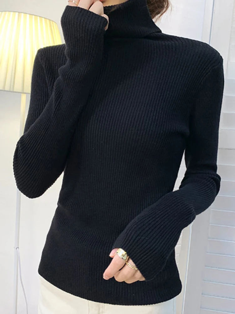 Suéter Gola Alta Feminino